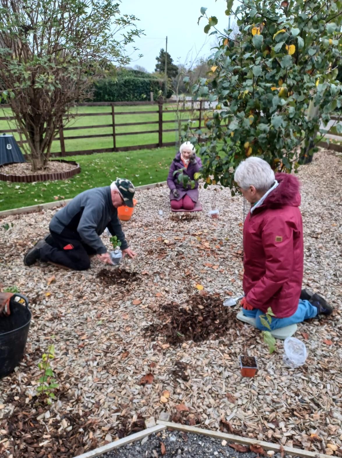 Planting begins