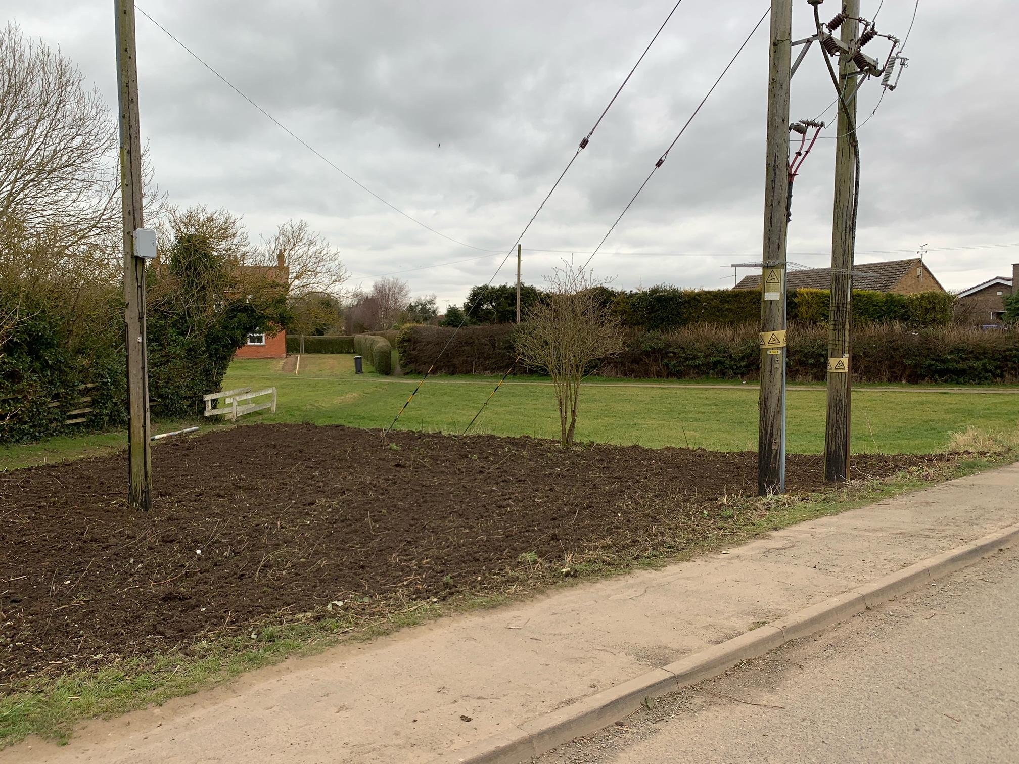 Cleared low road tree project