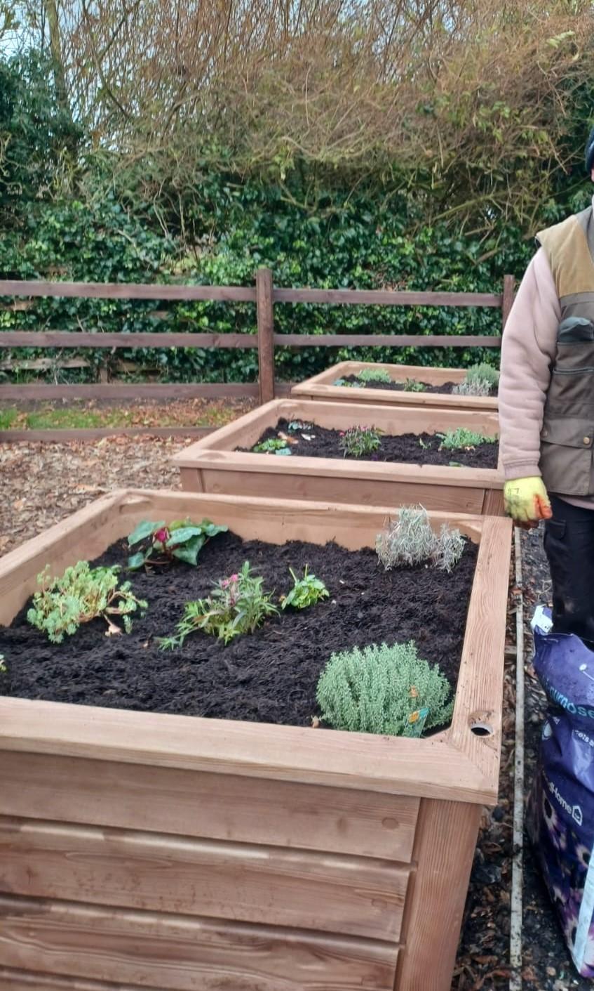 Raised bed planting