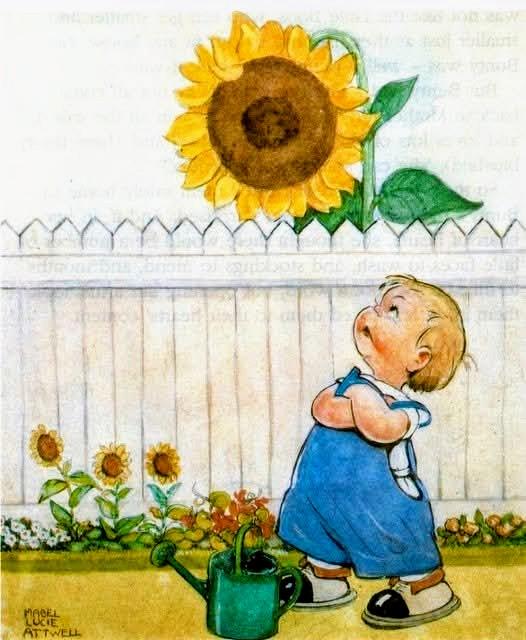 Sunflower pic